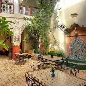 Dar Palmyra Hotel typu riad